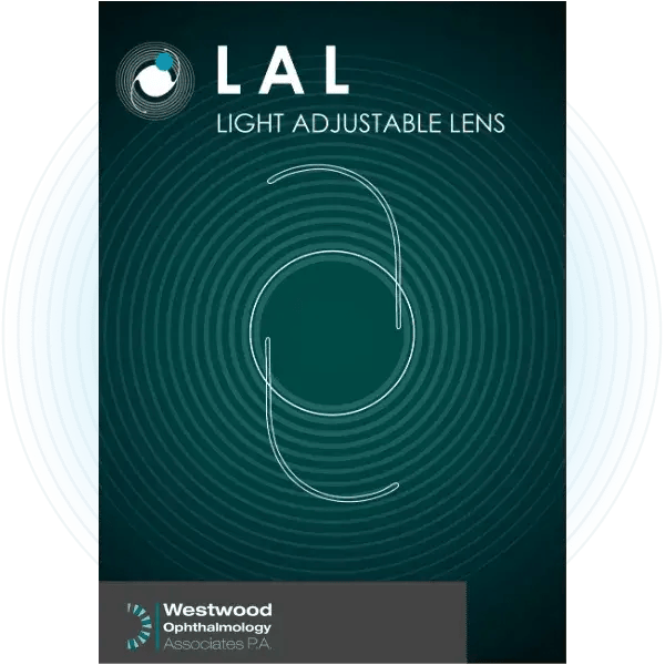 Light adjustable lens 1